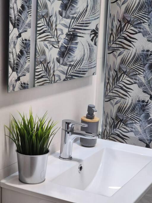 Piso De Diseno Elcheアパートメント エクステリア 写真