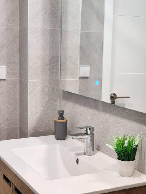 Piso De Diseno Elcheアパートメント エクステリア 写真